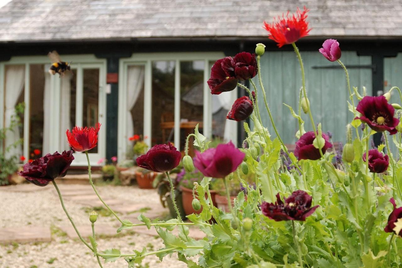 Bowgie At Trewerry Cottages - Away From It All, Close To Everywhere Newquay  Exterior photo